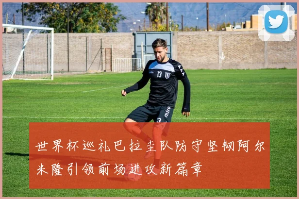 世界杯巡礼巴拉圭队防守坚韧阿尔米隆引领前场进攻新篇章